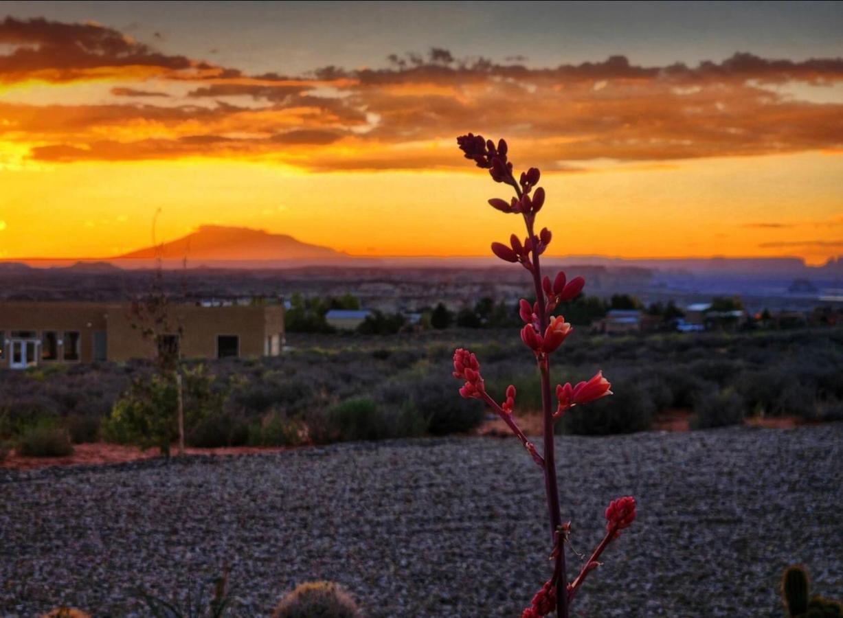 Page Arizona Border Town- Grand Serenity Room With Mesa Views 比格沃特 外观 照片